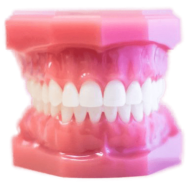 lingual braces on plastic model